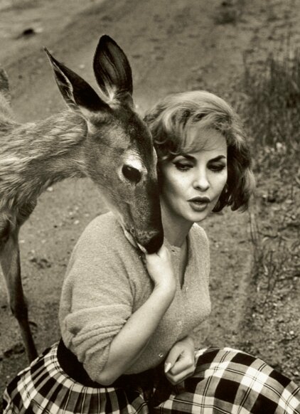 Джина Лоллобриджида и косуля Джина Лоллобриджида и косуля