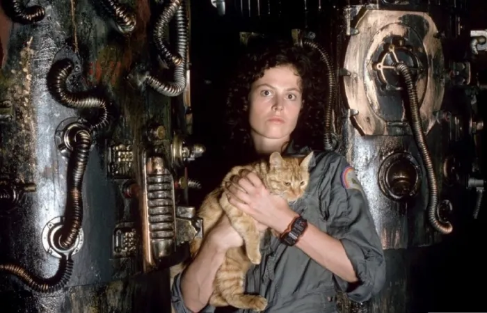 Сигурни Уивер с котиком Сигурни Уивер с котиком