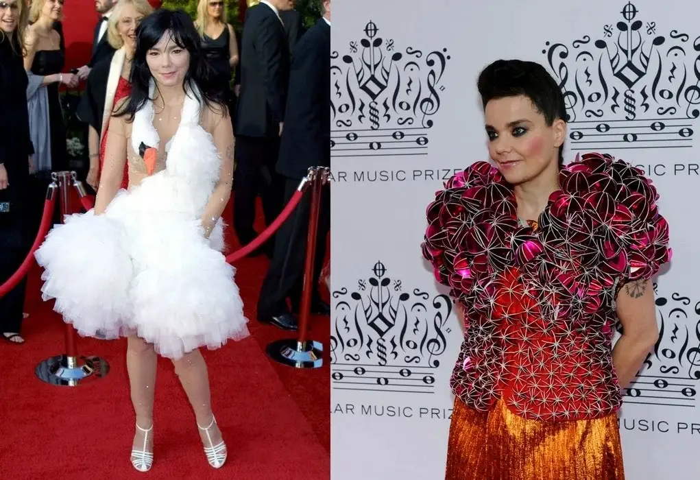 Бьорк в костюме лебедя