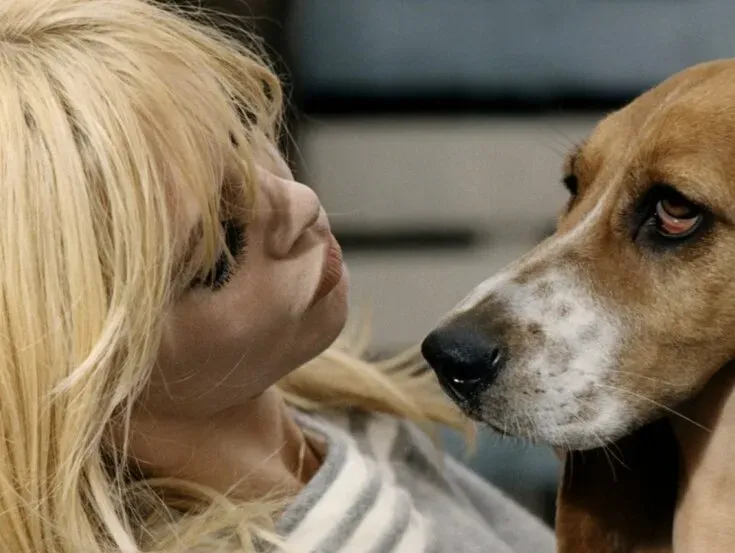 Брижит Бардо с собакой Брижит Бардо с собакой