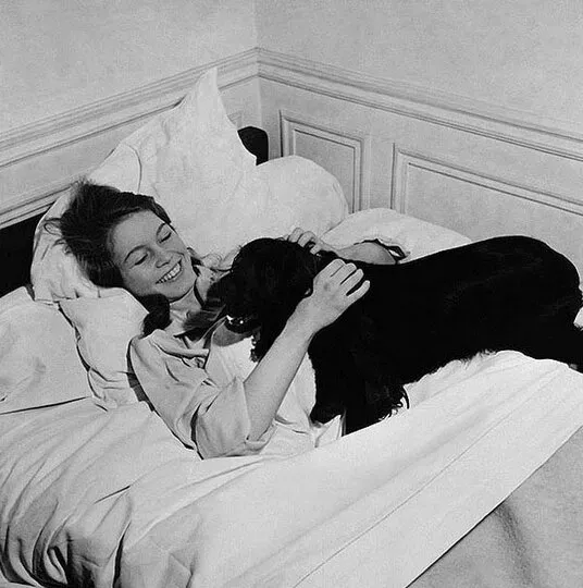 Брижит Бардо и собака Брижит Бардо и собака