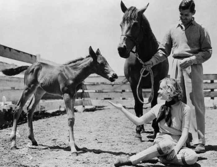 Кэрол Ломбард и Кларк Гейбл на ранчо Кэрол Ломбард и Кларк Гейбл на ранчо