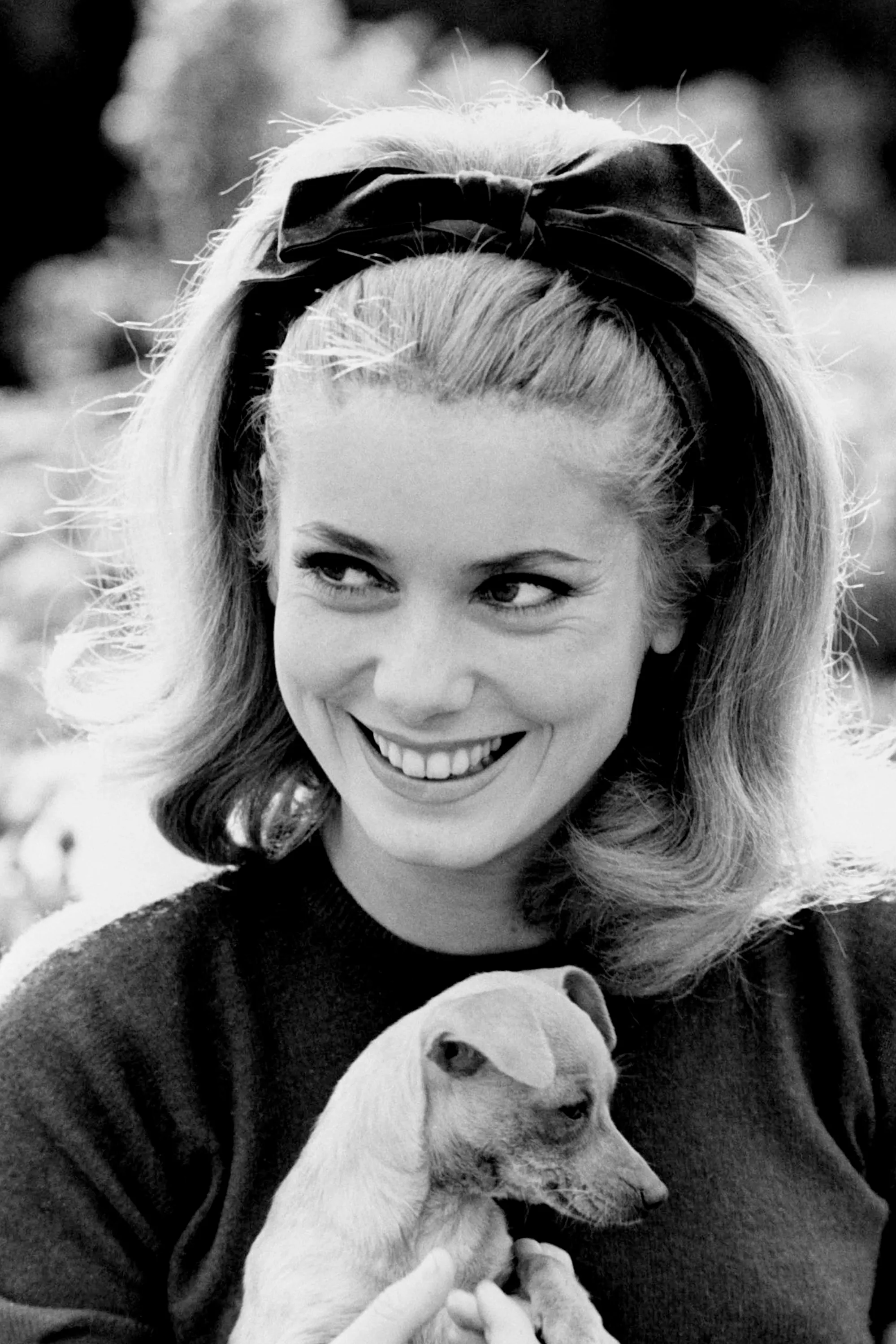 Катрин Денев с собачкой Катрин Денев с собачкой