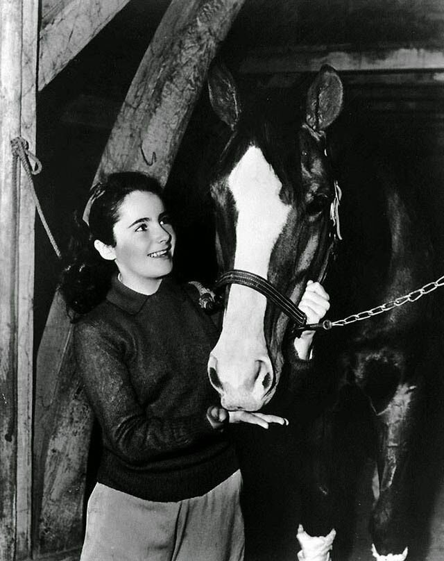 Элизабет Тейлор в фильме «Национальный бархат»